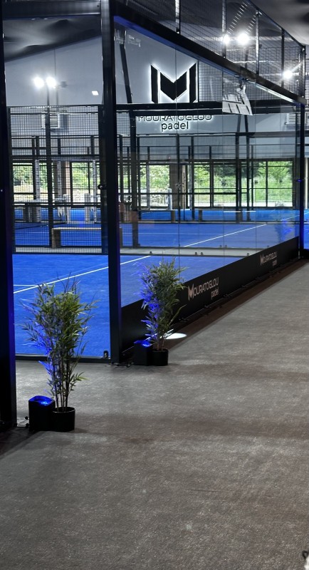 Nouvel Arrivage de fleurs de bambou artificiel de toutes tailles