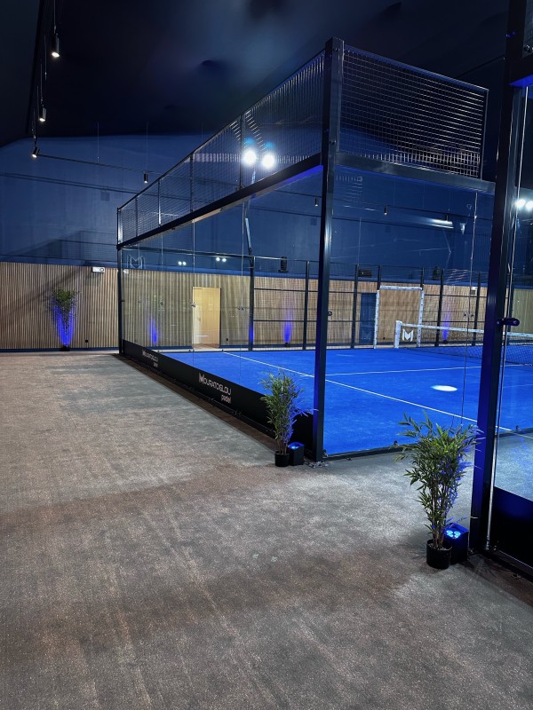 Nouvel Arrivage de fleurs de bambou artificiel de toutes tailles