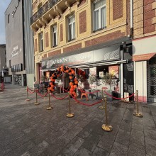 Nos prestations sur le secteur de Dieppe 76 sur la cote d'Albatre